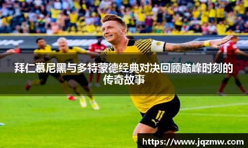今年会平台入口
